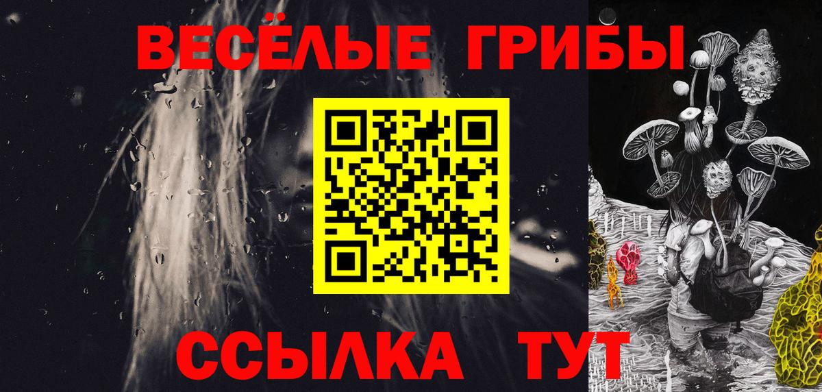 Псилоцибиновые грибы мицелий Курчатов
