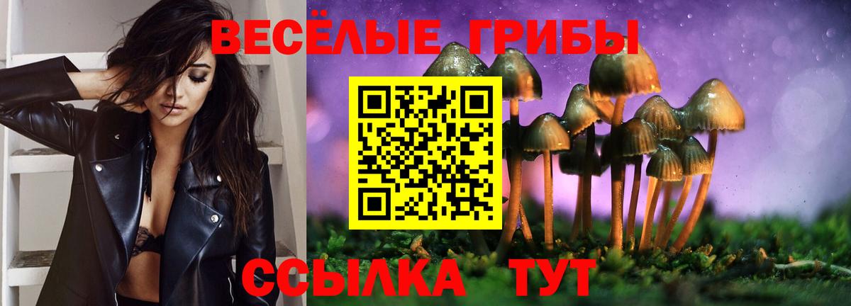 Курчатов  Галлюциногенные грибы ЛСД  Галлюциногенные грибы GOLDEN TEACHER  Вход с VPN 